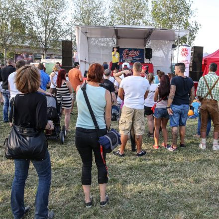Donauinselfest 2014 - Tag2 - PartI @ Donauinsel