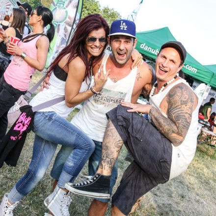 Donauinselfest 2014 - Tag2 - PartI @ Donauinsel
