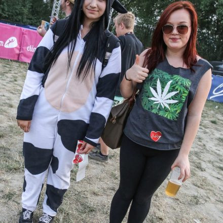 Donauinselfest 2014 - Tag2 - PartI @ Donauinsel
