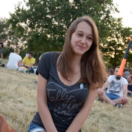 Donauinselfest 2014 - Tag2 - Part II @ Donauinsel