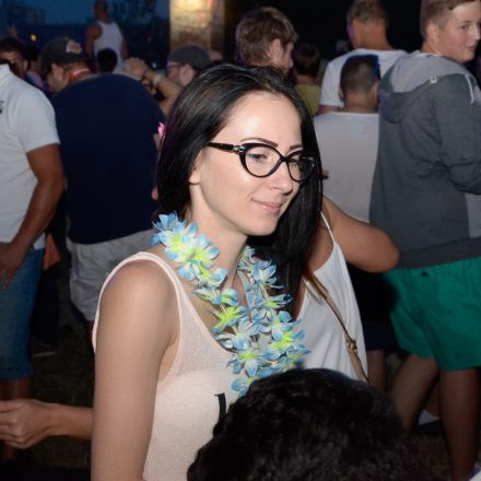 Donauinselfest 2014 - Tag2 - Part II @ Donauinsel