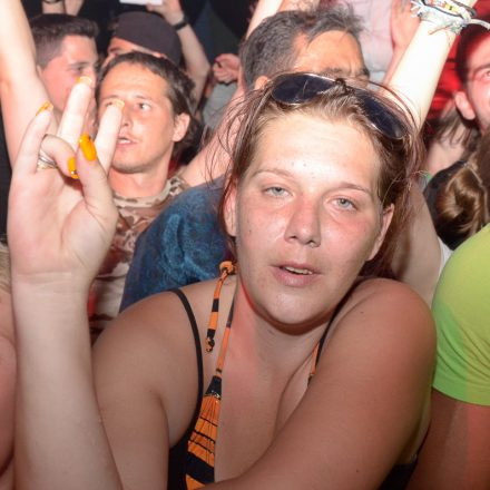Donauinselfest 2014 - Tag2 - Part II @ Donauinsel