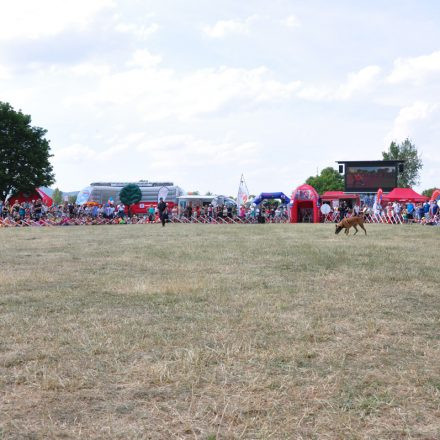 Donauinselfest - Tag 2 - Part IV @ Donauinsel