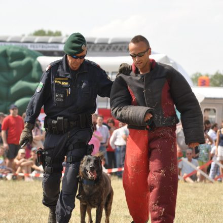 Donauinselfest - Tag 2 - Part IV @ Donauinsel