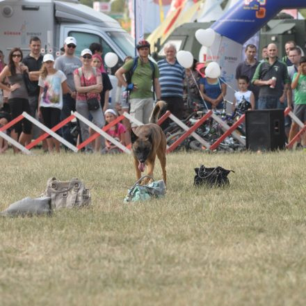 Donauinselfest - Tag 2 - Part IV @ Donauinsel