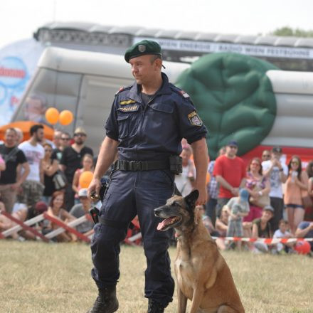 Donauinselfest - Tag 2 - Part IV @ Donauinsel