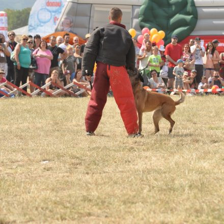 Donauinselfest - Tag 2 - Part IV @ Donauinsel