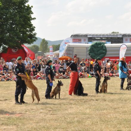 Donauinselfest - Tag 2 - Part IV @ Donauinsel