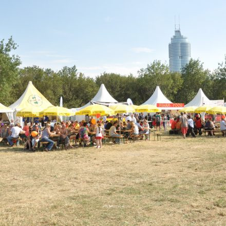 Donauinselfest - Tag 2 - Part IV @ Donauinsel