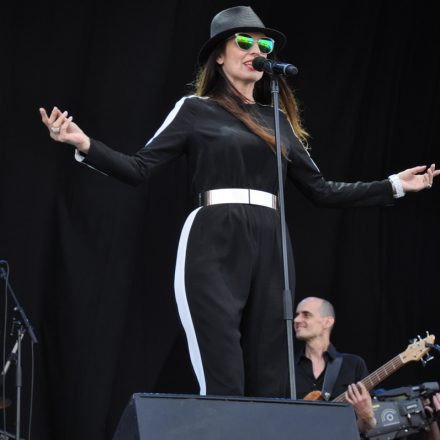 Donauinselfest - Tag 2 - Part IV @ Donauinsel