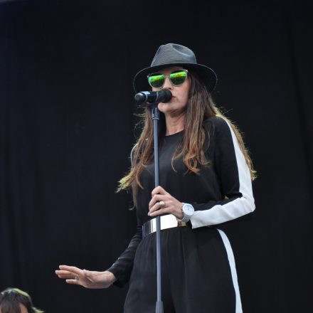 Donauinselfest - Tag 2 - Part IV @ Donauinsel
