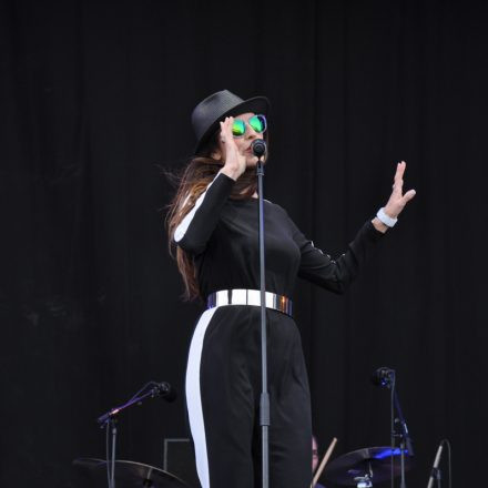 Donauinselfest - Tag 2 - Part IV @ Donauinsel
