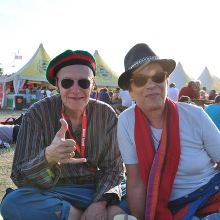 Donauinselfest - Tag 2 - Part IV @ Donauinsel