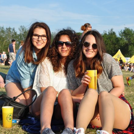 Donauinselfest - Tag 2 - Part IV @ Donauinsel