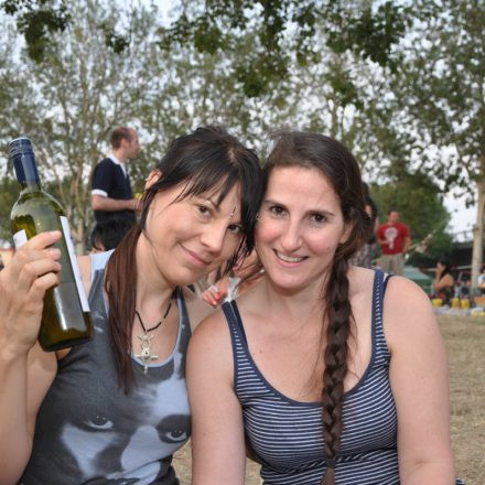 Donauinselfest - Tag 2 - Part IV @ Donauinsel