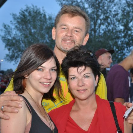 Donauinselfest - Tag 2 - Part IV @ Donauinsel