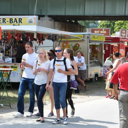 Donauinselfest - Tag 2 - Part IV @ Donauinsel