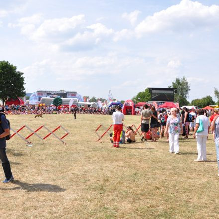Donauinselfest - Tag 2 - Part IV @ Donauinsel
