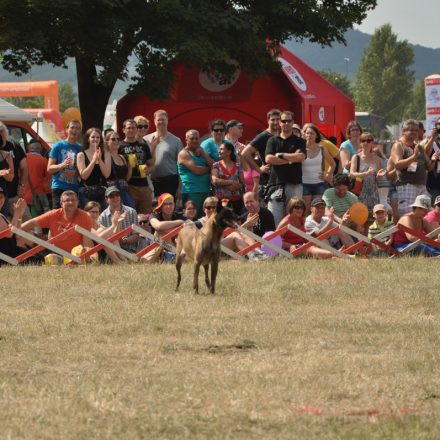 Donauinselfest - Tag 2 - Part IV @ Donauinsel