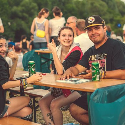 Donauinselfest 2014 - Tag 2 - Part VI @ Donauinsel