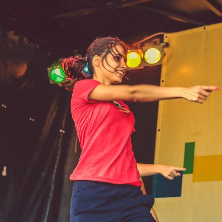 Donauinselfest 2014 - Tag 2 - Part VI @ Donauinsel