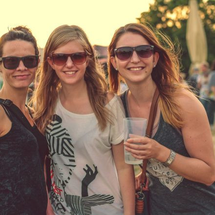 Donauinselfest 2014 - Tag 2 - Part VI @ Donauinsel