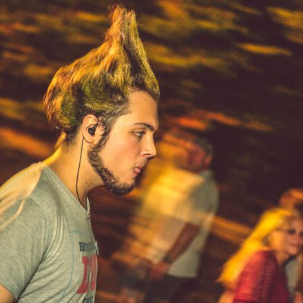 Donauinselfest 2014 - Tag 2 - Part VI @ Donauinsel