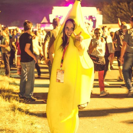 Donauinselfest 2014 - Tag 2 - Part VI @ Donauinsel