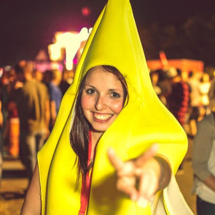 Donauinselfest 2014 - Tag 2 - Part VI @ Donauinsel