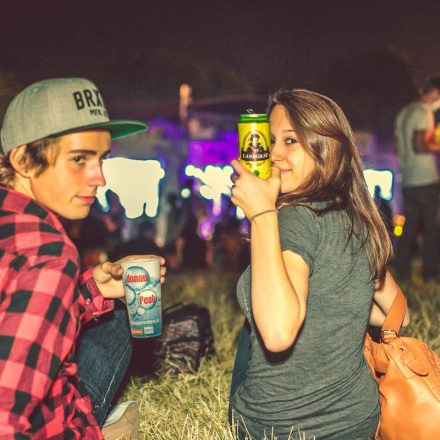 Donauinselfest 2014 - Tag 2 - Part VI @ Donauinsel