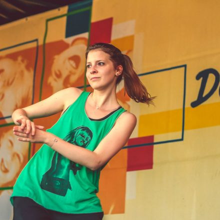 Donauinselfest 2014 - Tag 2 - Part VI @ Donauinsel