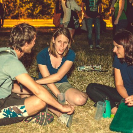 Donauinselfest 2014 - Tag 2 - Part VI @ Donauinsel
