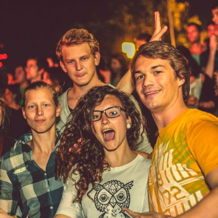Donauinselfest 2014 - Tag 2 - Part VI @ Donauinsel