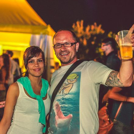 Donauinselfest 2014 - Tag 2 - Part VI @ Donauinsel