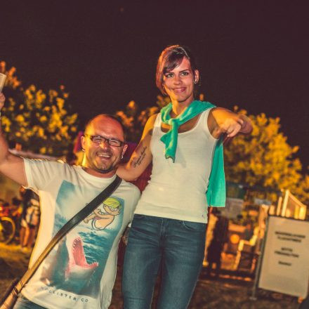 Donauinselfest 2014 - Tag 2 - Part VI @ Donauinsel