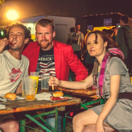 Donauinselfest 2014 - Tag 2 - Part VI @ Donauinsel