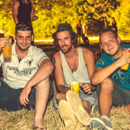 Donauinselfest 2014 - Tag 2 - Part VI @ Donauinsel