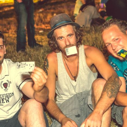 Donauinselfest 2014 - Tag 2 - Part VI @ Donauinsel