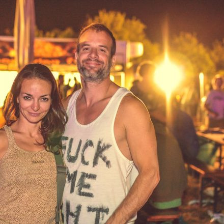 Donauinselfest 2014 - Tag 2 - Part VI @ Donauinsel