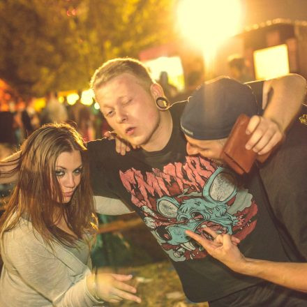 Donauinselfest 2014 - Tag 2 - Part VI @ Donauinsel
