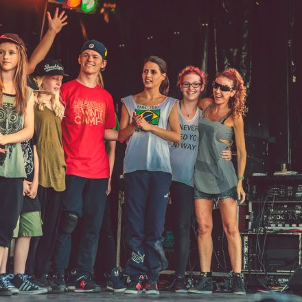 Donauinselfest 2014 - Tag 2 - Part VI @ Donauinsel