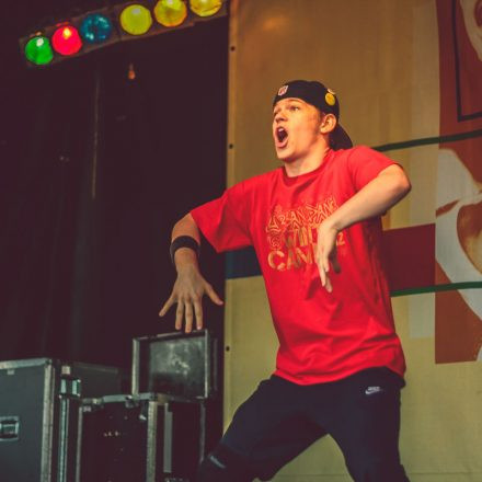 Donauinselfest 2014 - Tag 2 - Part VI @ Donauinsel