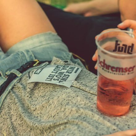Donauinselfest 2014 - Tag 2 - Part VI @ Donauinsel