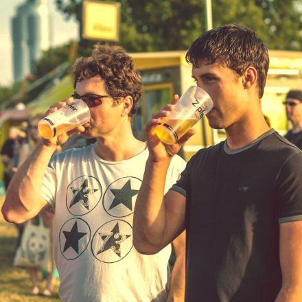 Donauinselfest 2014 - Tag 2 - Part VI @ Donauinsel