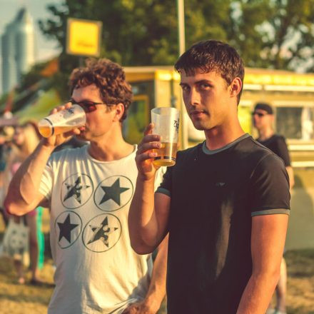 Donauinselfest 2014 - Tag 2 - Part VI @ Donauinsel