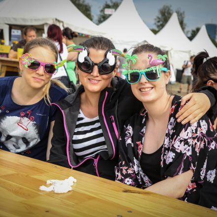 Donauinselfest 2014 - Tag3 - PartII @ Donauinsel