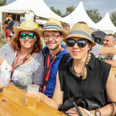 Donauinselfest 2014 - Tag3 - PartII @ Donauinsel
