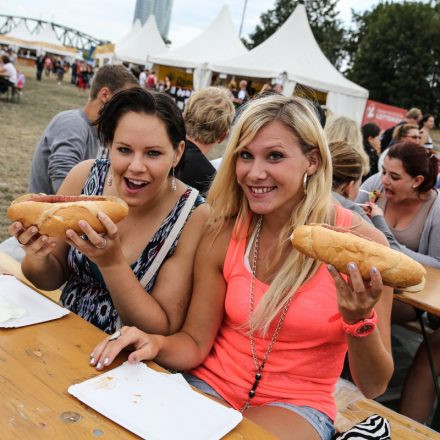 Donauinselfest 2014 - Tag3 - PartII @ Donauinsel