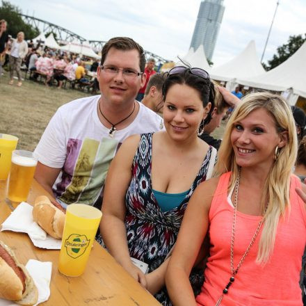 Donauinselfest 2014 - Tag3 - PartII @ Donauinsel