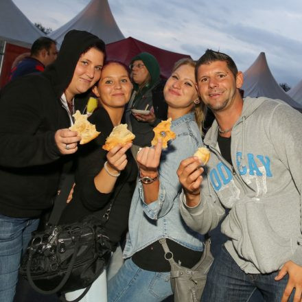 Donauinselfest 2014 - Tag3 - PartII @ Donauinsel
